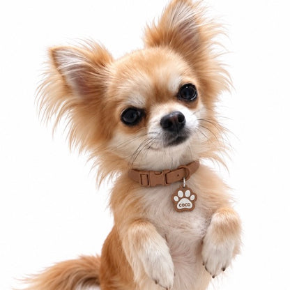 NOMIS NFC SMART COLLAR