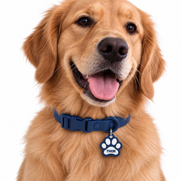 NOMIS NFC SMART COLLAR